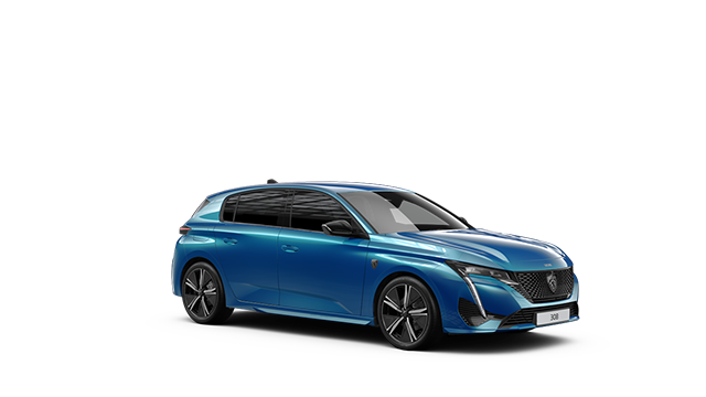 ショーナン様　51㎝2本入×2？ モデル別購入サポート | プジョー公式サイト