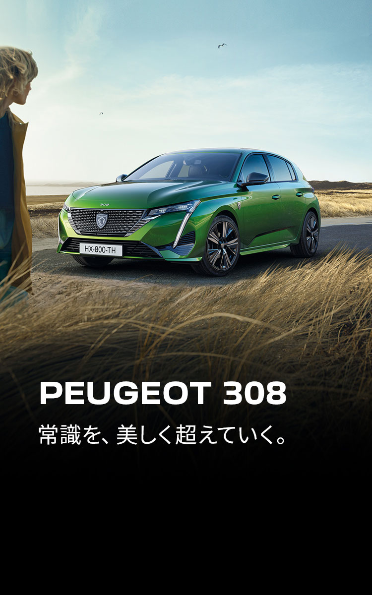 【4月8日まで】【激レア】PEUGEOT プジョー　ジョコビッチモデルポロシャツ ノバク・ジョコビッチ』サイド切り替えウルトラドライポロシャツ