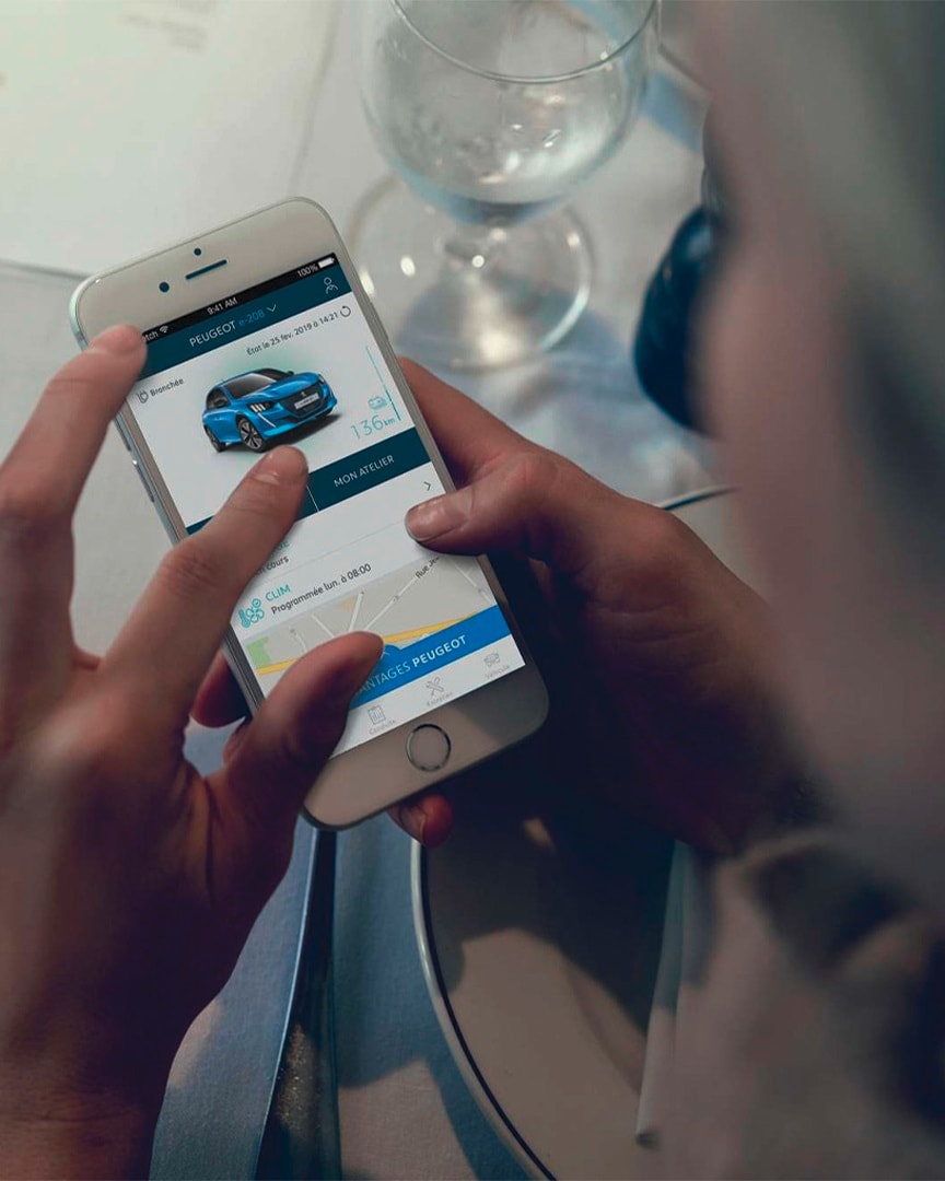 PEUGEOT　LC 11 NEXUS 26インチ　プジョー　内装変速３速 PEUGEOT LC 11 NEXUS 26インチ プジョー 内装変速3速